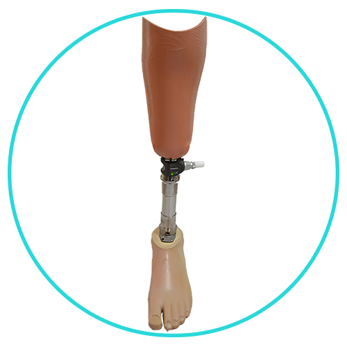 Below knee prosthesisProvitalProtez