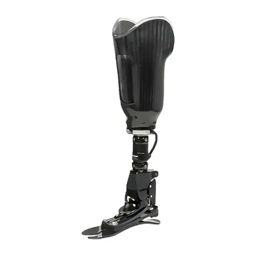 Below Knee Prosthesis (2026 Prices,Types) 27 best prosthetic leg below knee