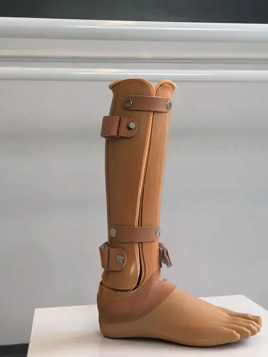 Protez Fiyatları(2026) 22 chopart