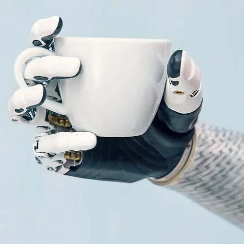Blog 851 ottobock-bebionic